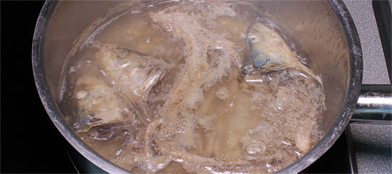 Fischabschnitte auskochen