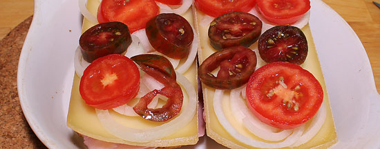 Mit Tomaten und Zwiebel belegt
