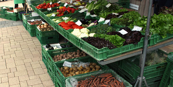 Marktstand in Robenhausen mit Bio-Gemüsen und Früchten