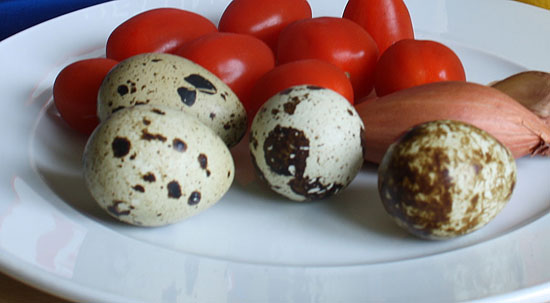 Wachteler, kleine italienisch Tomaten, Zwiebel