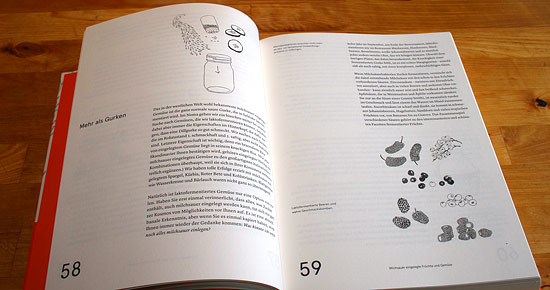 Das Noma-Handbuch Fermentation Seite 1